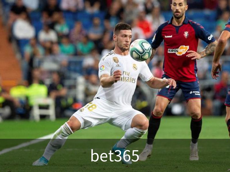 走进bet365